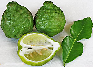 kaffir-lime
