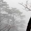 IMG_0959