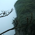 IMG_1022