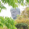 Giant Buddha