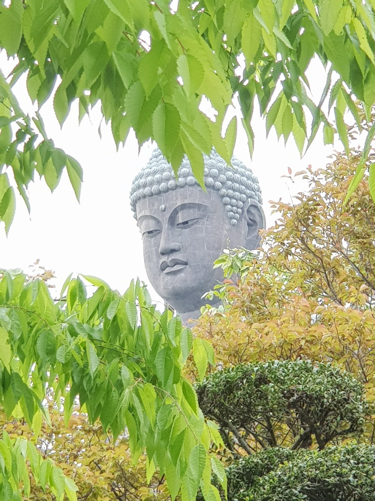 Giant Buddha