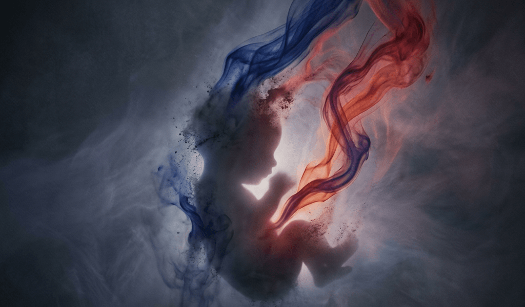 Silhouette of a fetus surrounded by blue and red swirling smoke against dark background